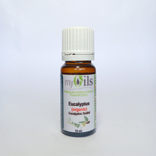 Eucalyptus Smithii (Organic) Essential Oil - 10ml