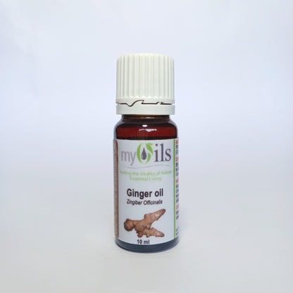 Ginger Essential Oil - 10ml