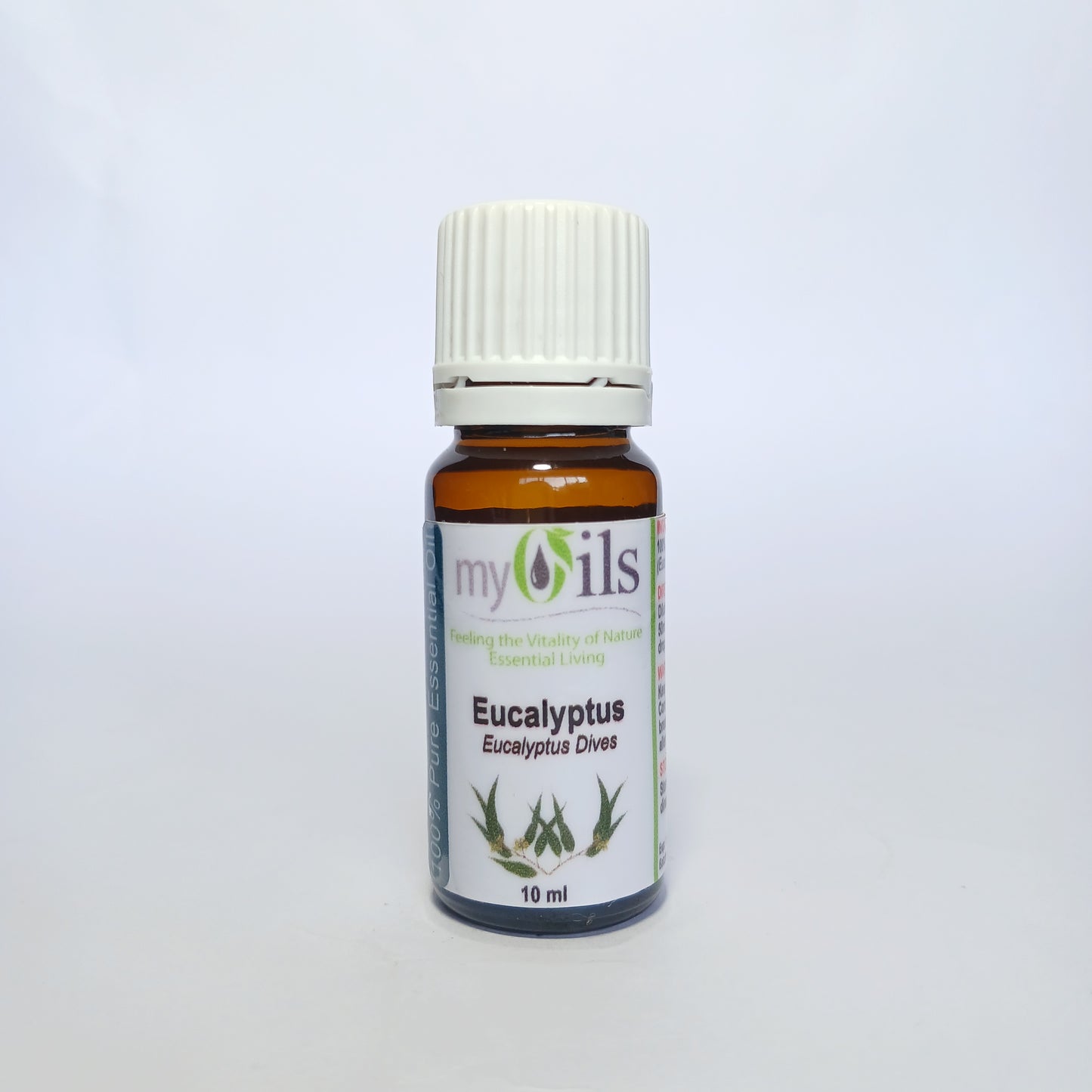 Eucalyptus Dives Essential Oil - 10ml