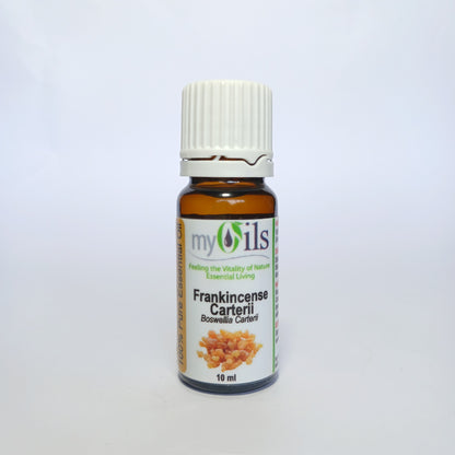 Frankincense Carterii Essential Oil - 10ml