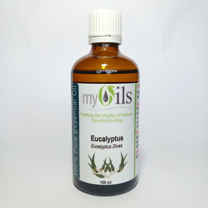 Eucalyptus Dives Essential Oil - 100ml