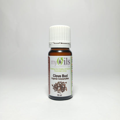 Clove Bud Essential Oil - 10ml